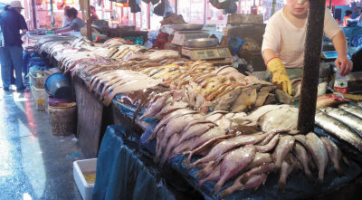 大連蝦爬子等小海鮮價(jià)漲三四成，市場供需失衡引發(fā)關(guān)注