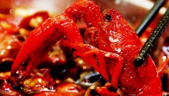 水產養(yǎng)殖溯源系統(tǒng) 讓消費者放心的農產品保障