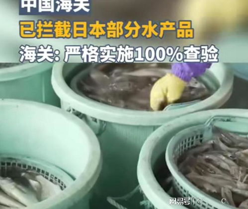 中國海關(guān)強(qiáng)化對日本水產(chǎn)品進(jìn)口監(jiān)管，日本媒體高度關(guān)注農(nóng)產(chǎn)品安全議題